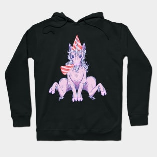 Birthday Unicorn Hoodie